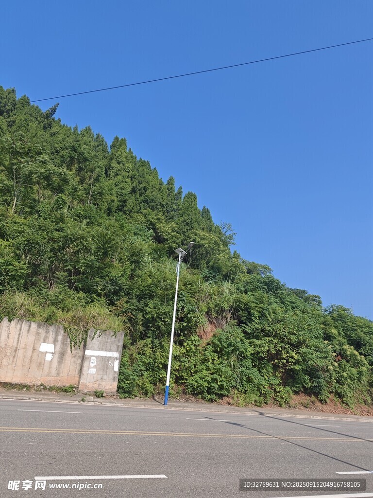 公路旁绿意盎然的山坡