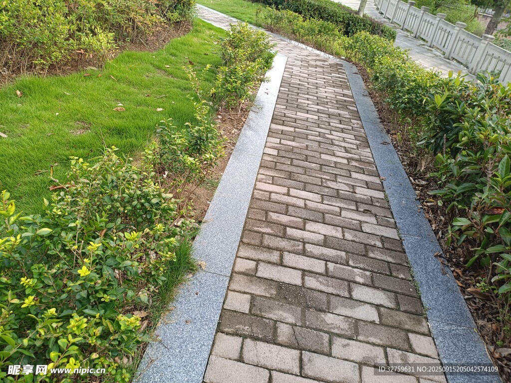 砖石小径旁的绿植景观