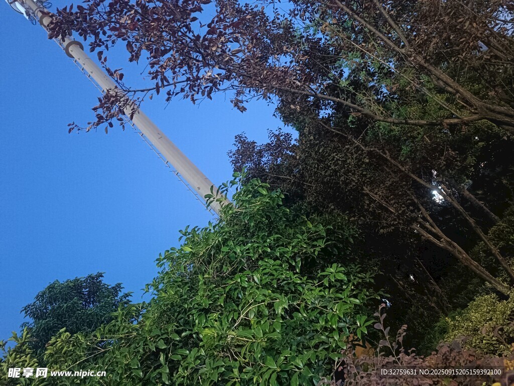 蓝天绿树间的自然景致
