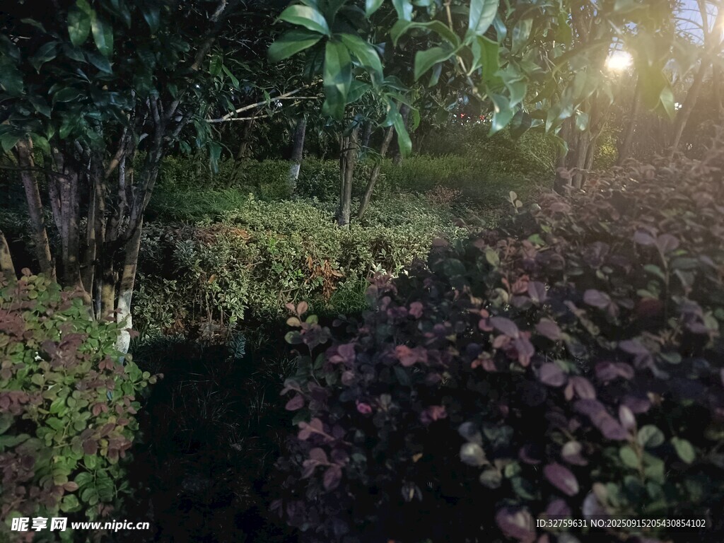 静谧花园绿植景观