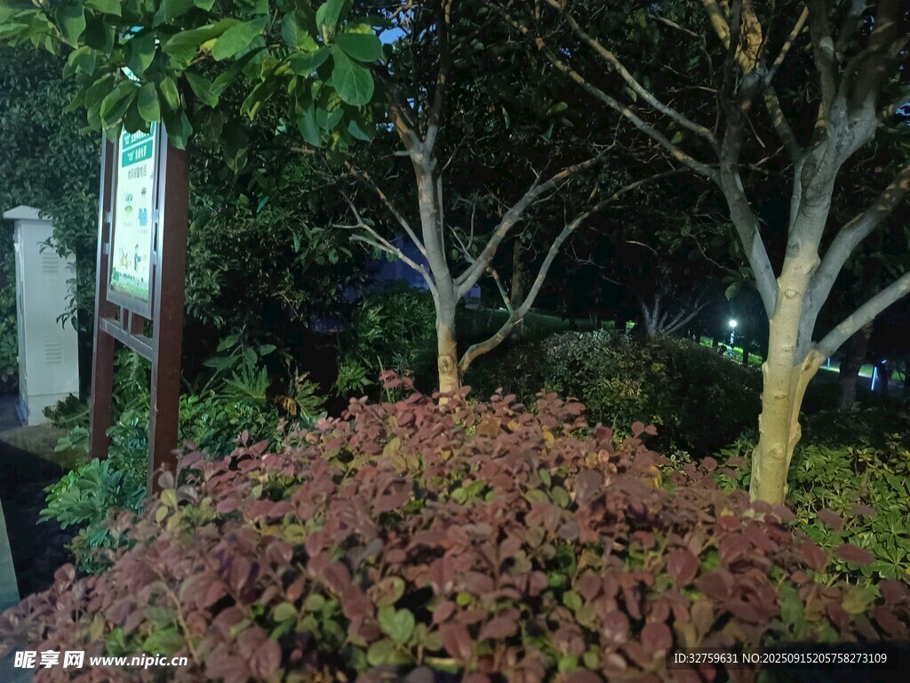 园林绿植景观