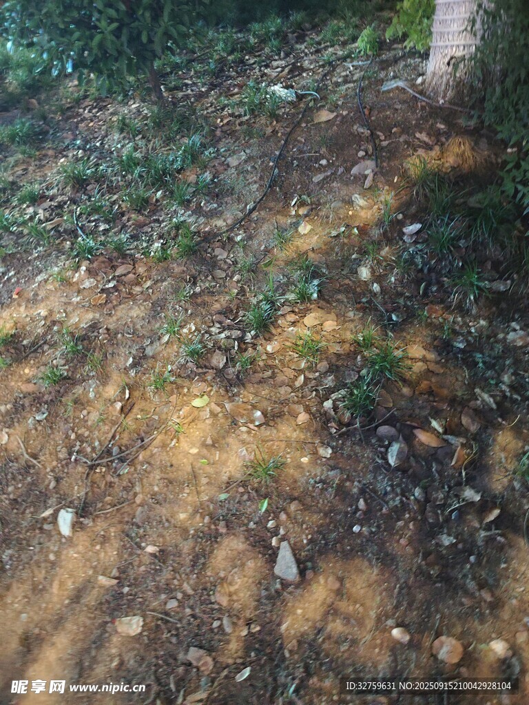 泥泞小路