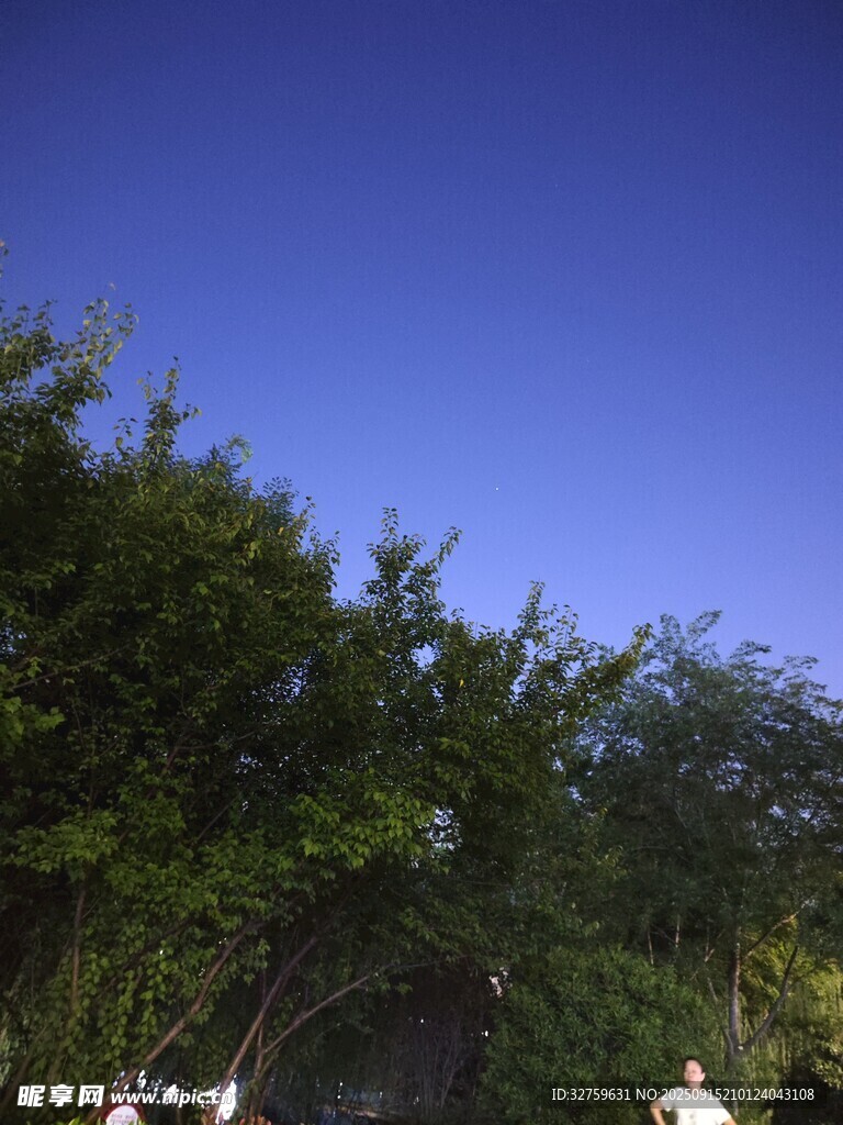 蓝天绿树间的自然景致