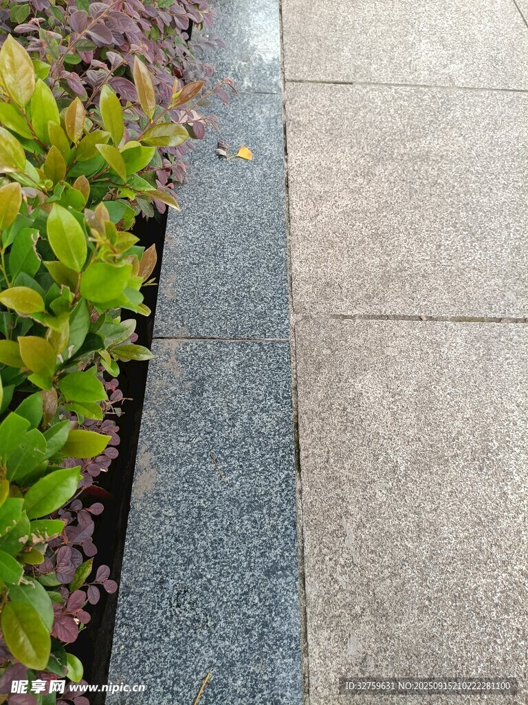 路边绿植与灰色步道