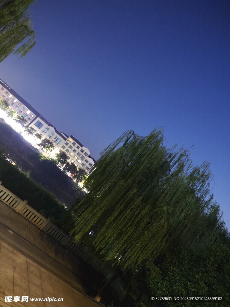 夜幕下的建筑与葱郁树木