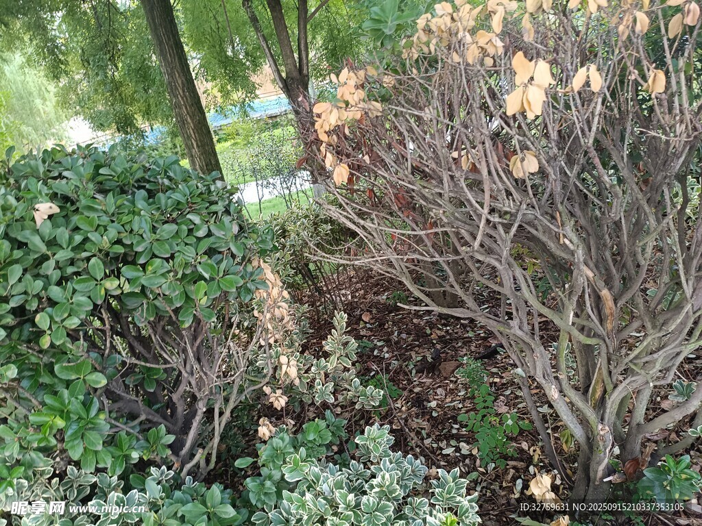 秋日园林中的多彩植物景观