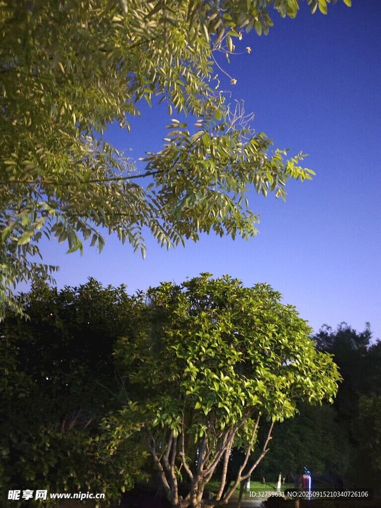 蓝天绿树间的自然景致