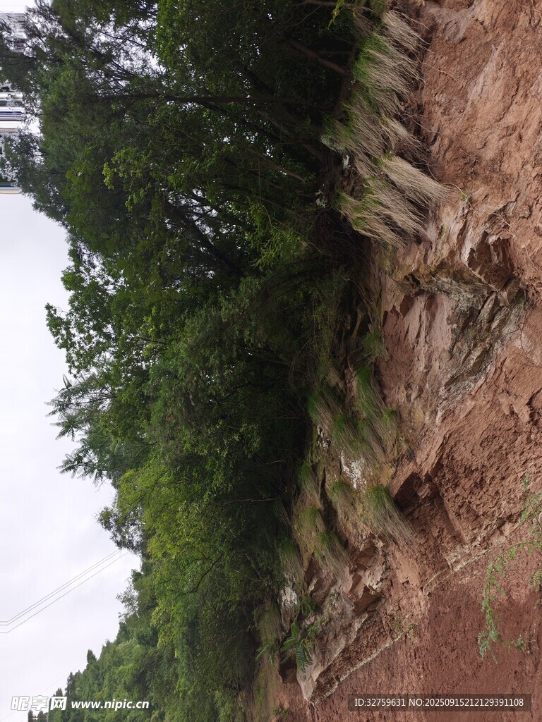 山坡绿植覆盖的陡峭岩壁