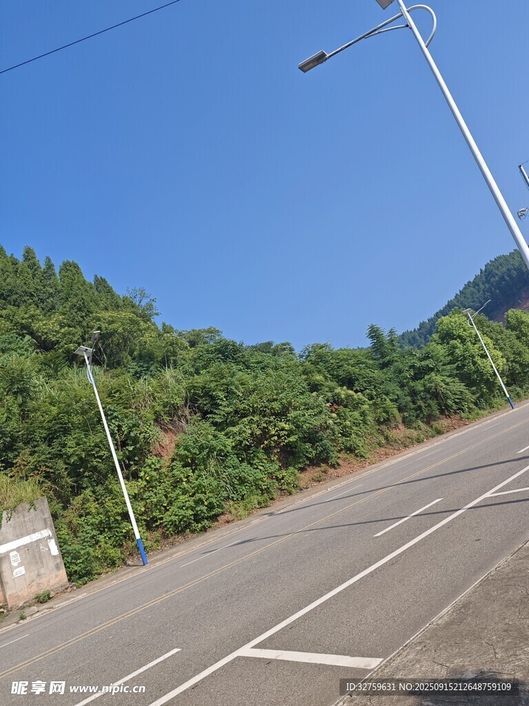 山间公路旁的葱郁植被