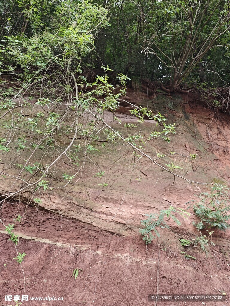 户外红土地与绿植景观