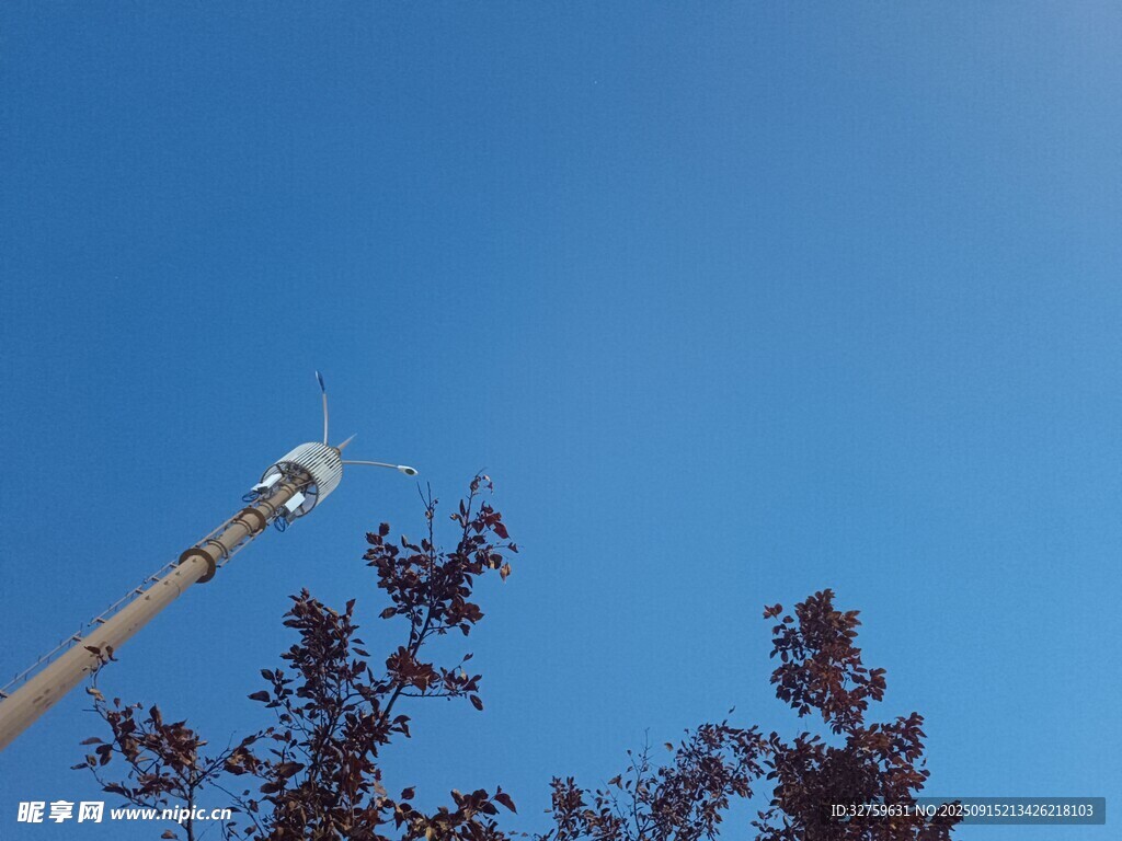 高空作业车修剪树木