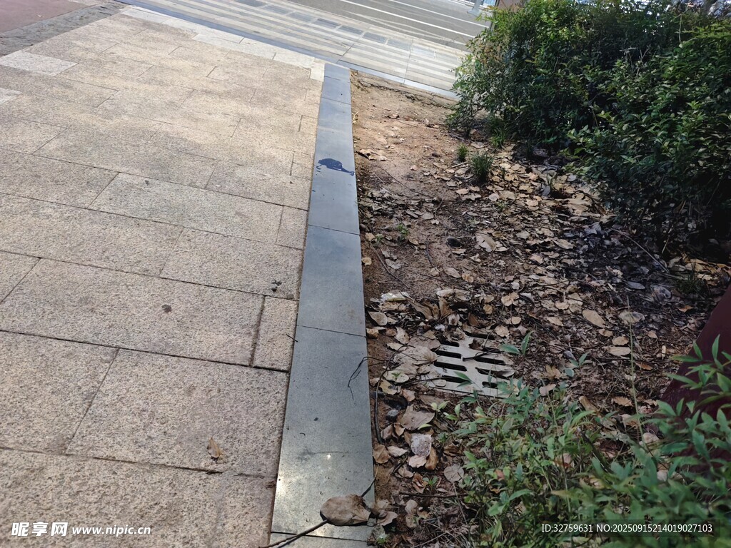 路边金属条旁的绿植景观