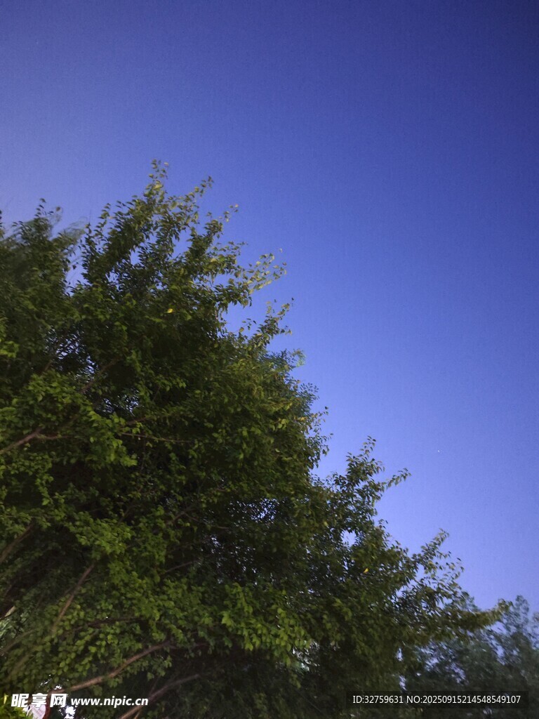 蓝天绿树美景