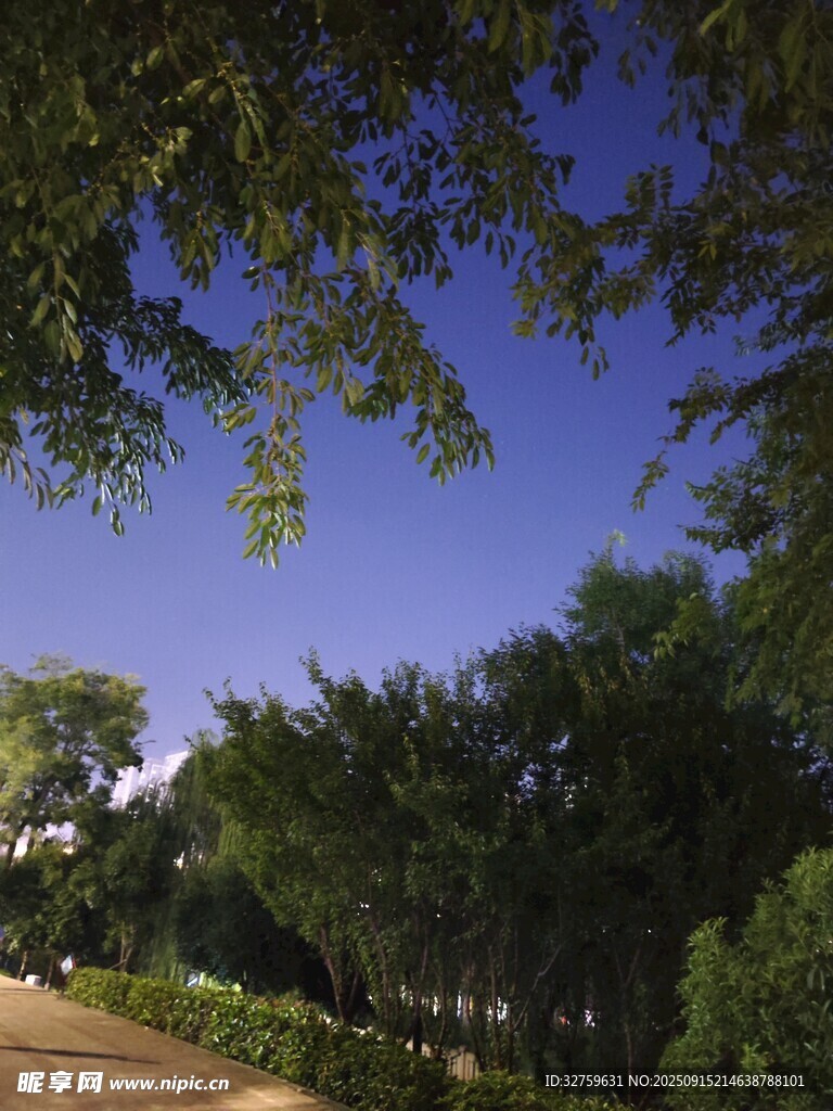 林间小道 