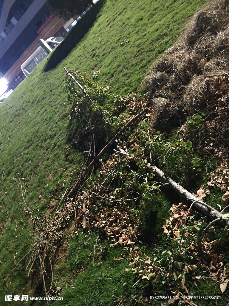 草地中折断的白色杆子