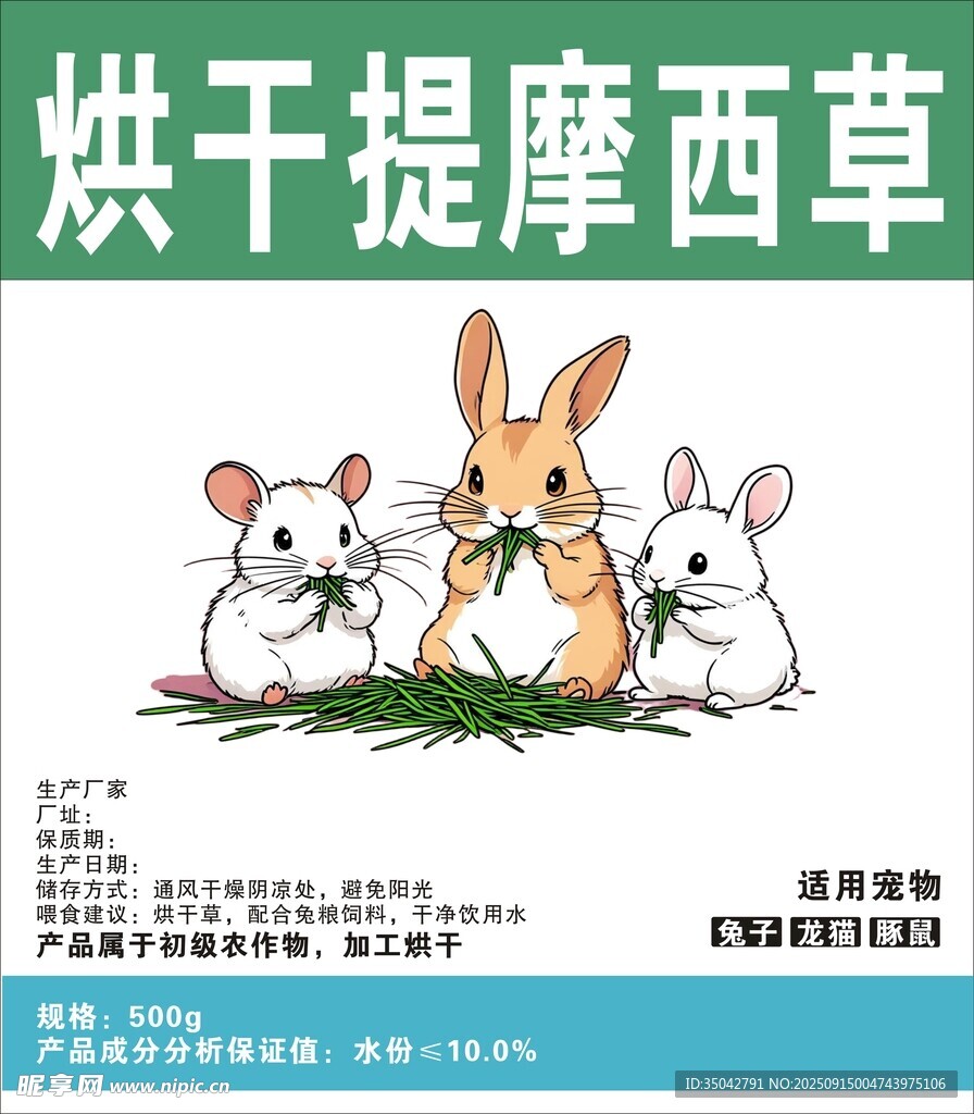 提摩西草 仓鼠草