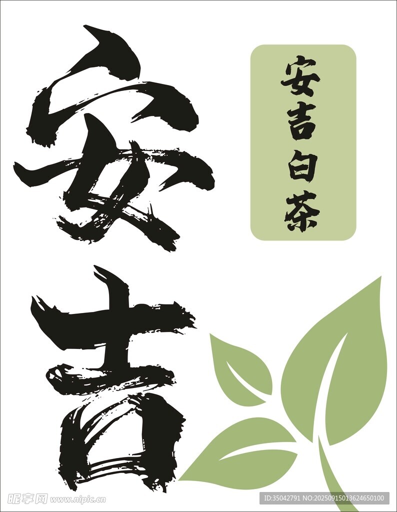 白茶