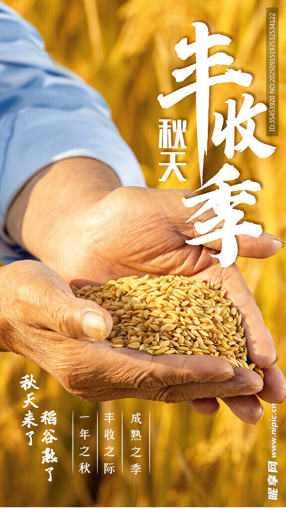 丰收季