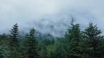 七姑娘山