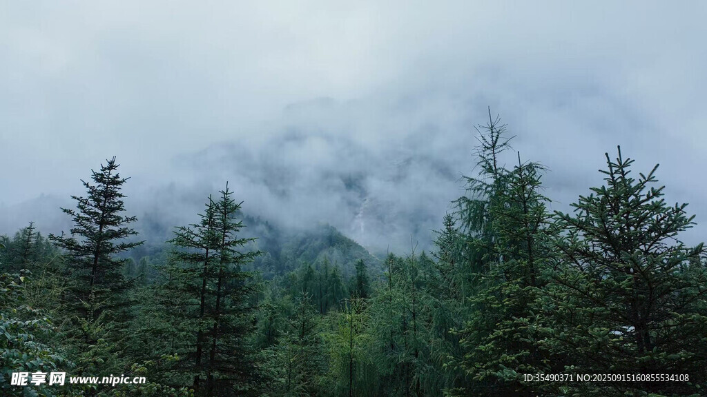 七姑娘山