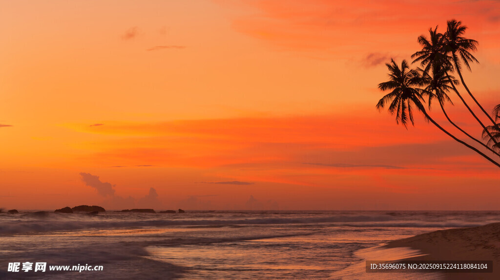 夕阳下的海滩与椰树美景