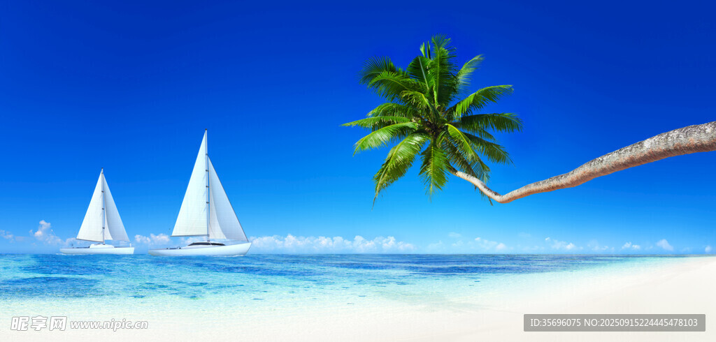 碧海椰树旁的帆船美景