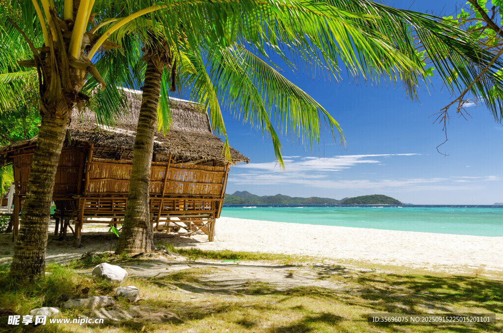 热带海滨木屋美景