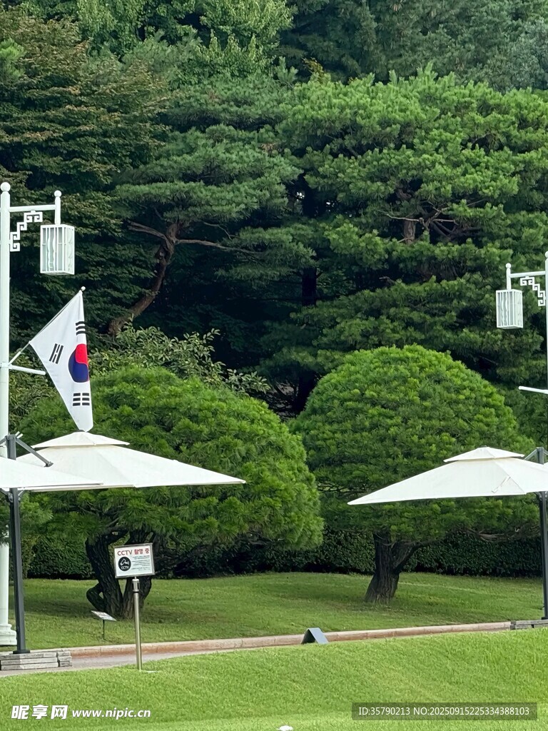 户外草坪休闲场景