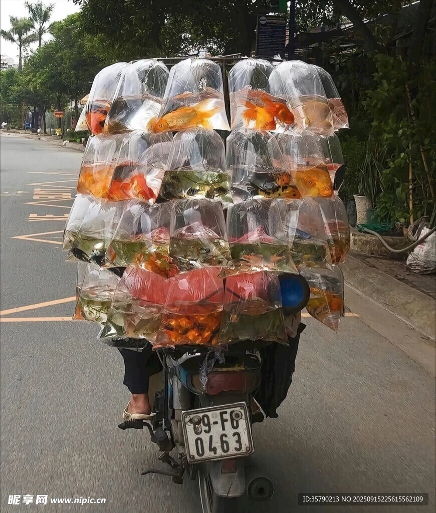 越南摩托满载多彩货物在路上