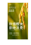 珍惜粮食