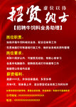 招聘海报