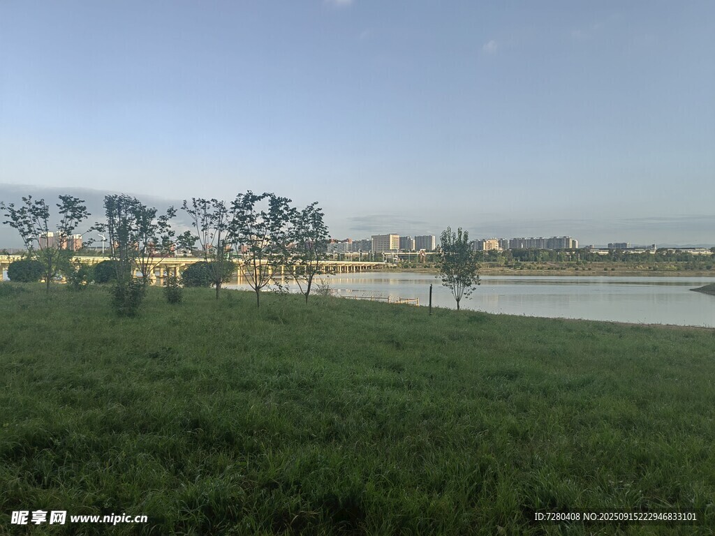 湖畔草地风景