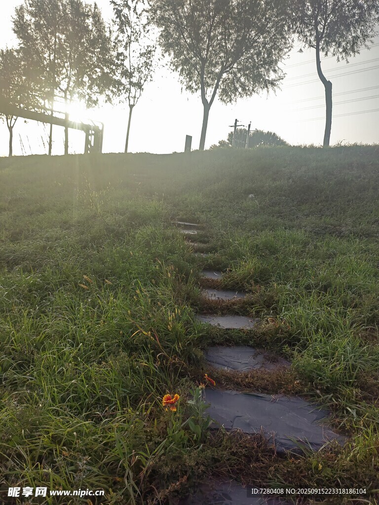 晨雾中的草地小径