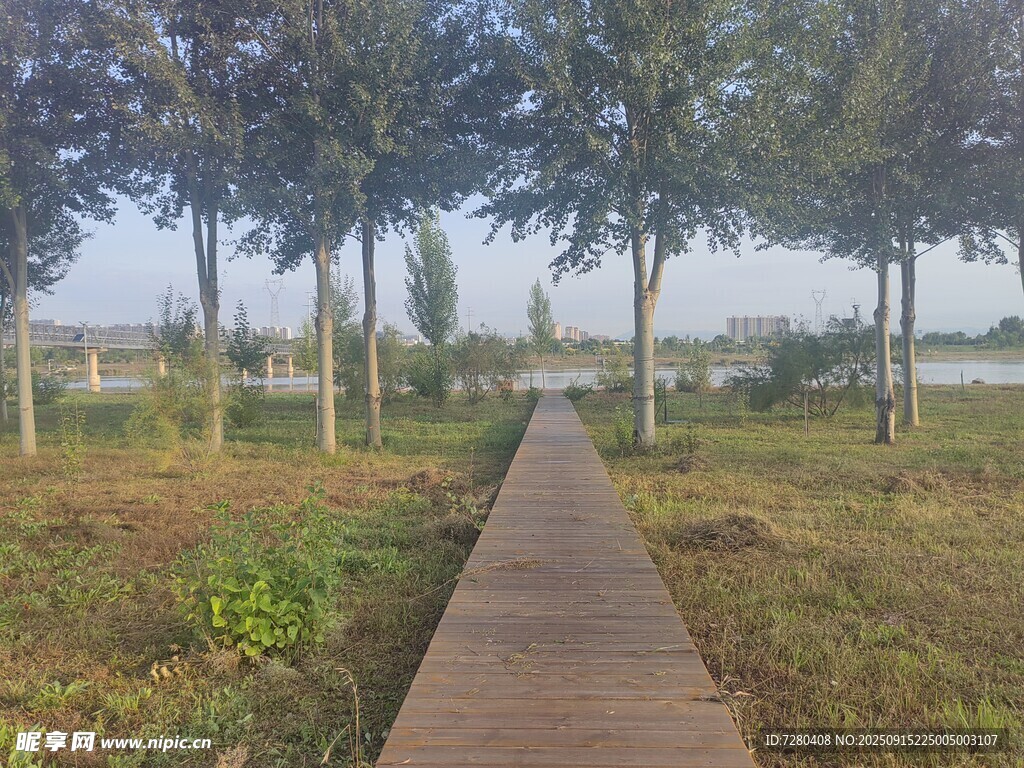 林间木栈道自然好风光
