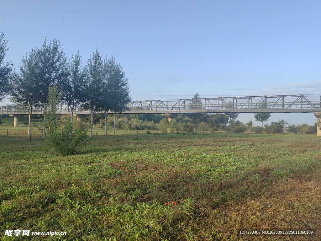 田野旁的高架桥远景