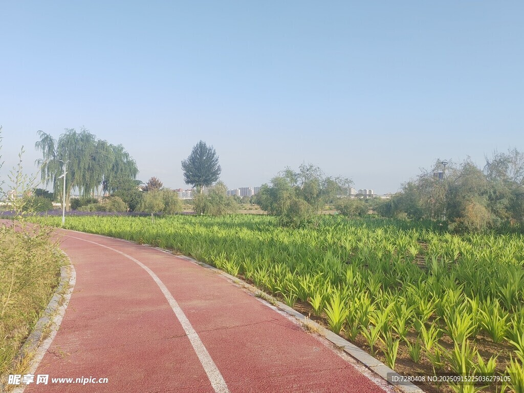 乡村红色健身步道风景