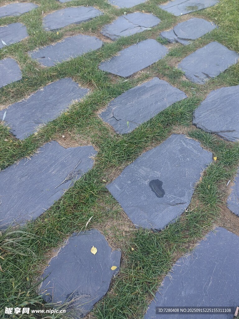 石板铺就的草地小径