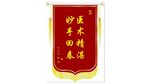 医术精湛锦旗