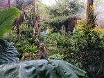 繁茂绿植营造自然丛林景