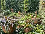 室内绿植景观 生机盎然