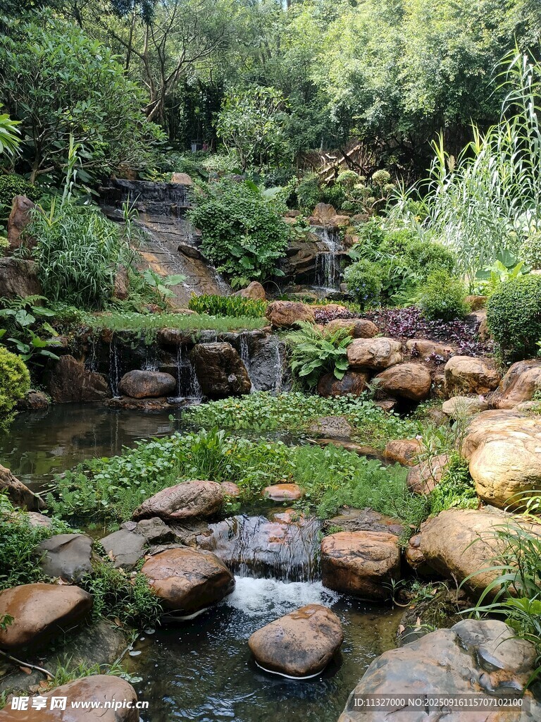 山间溪流旁的绿植与石块