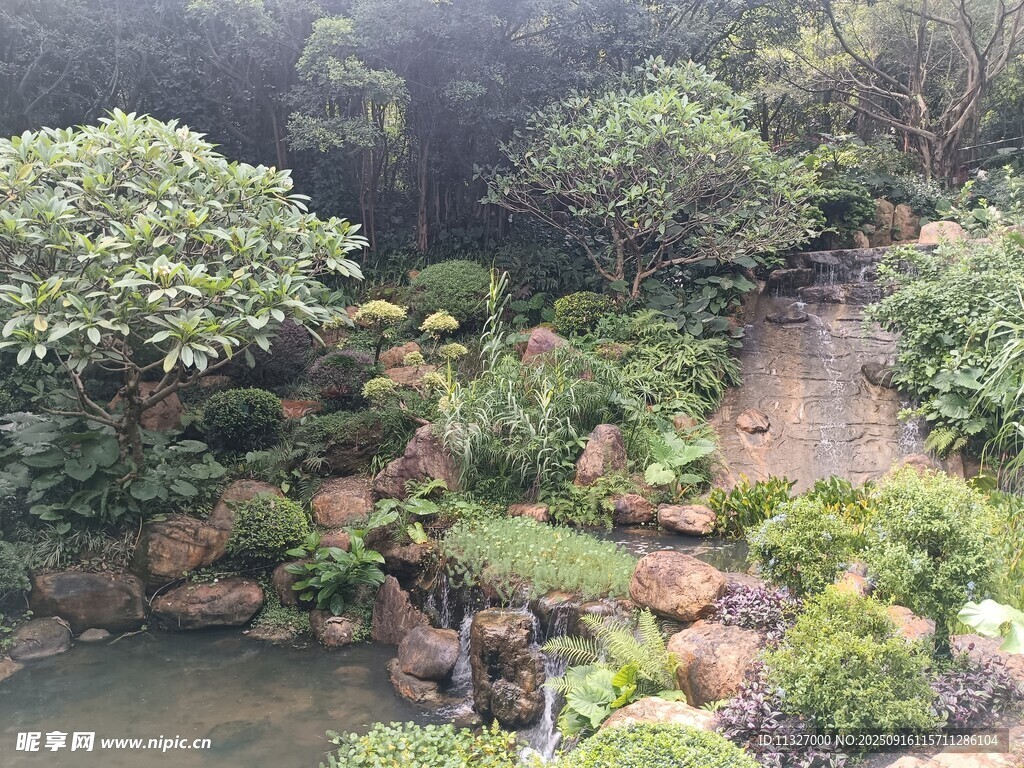 中式园林景观 绿意盎然