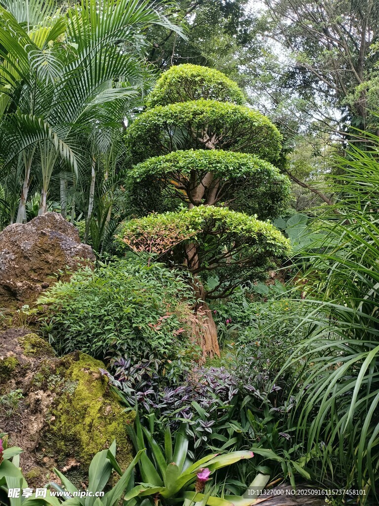 精致园林景观绿植造型