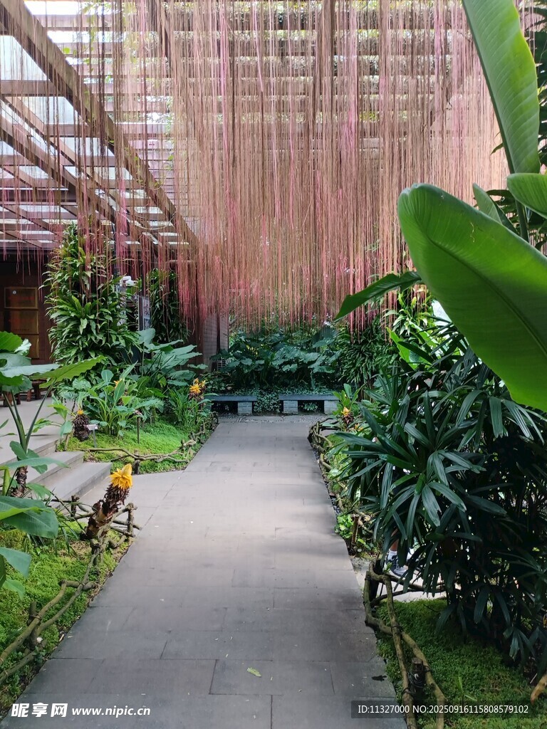 温室中的绿植景观
