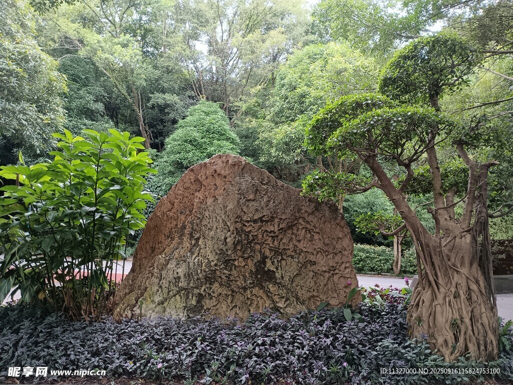 园林景观中的巨石与绿植