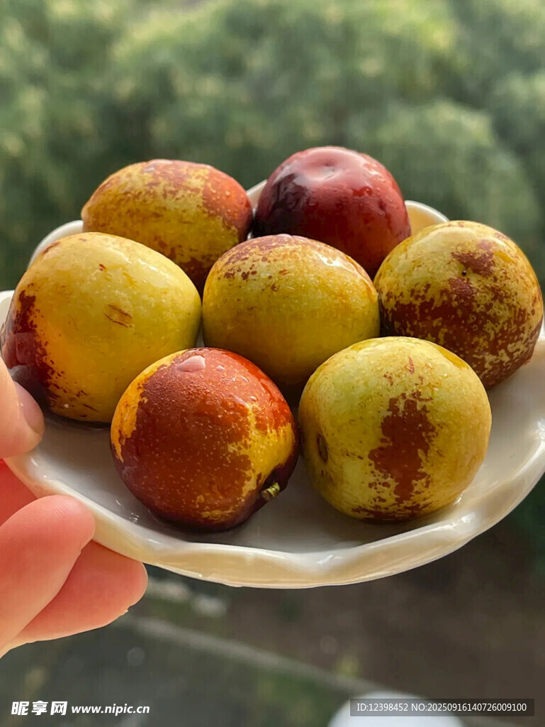 手托盘中多彩新鲜冬枣