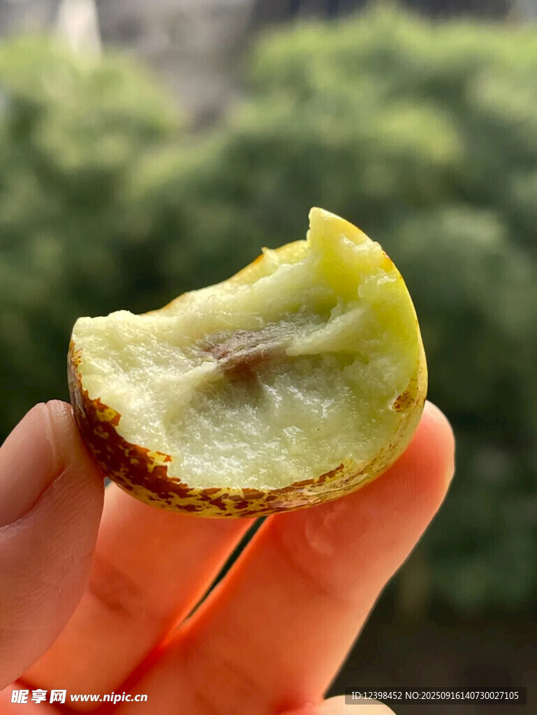 大枣