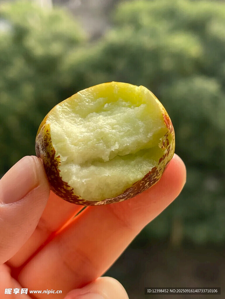 大枣