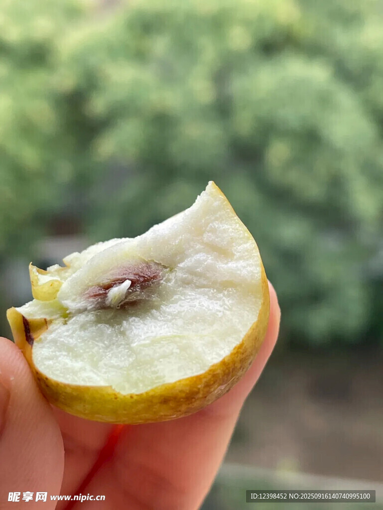 脆枣
