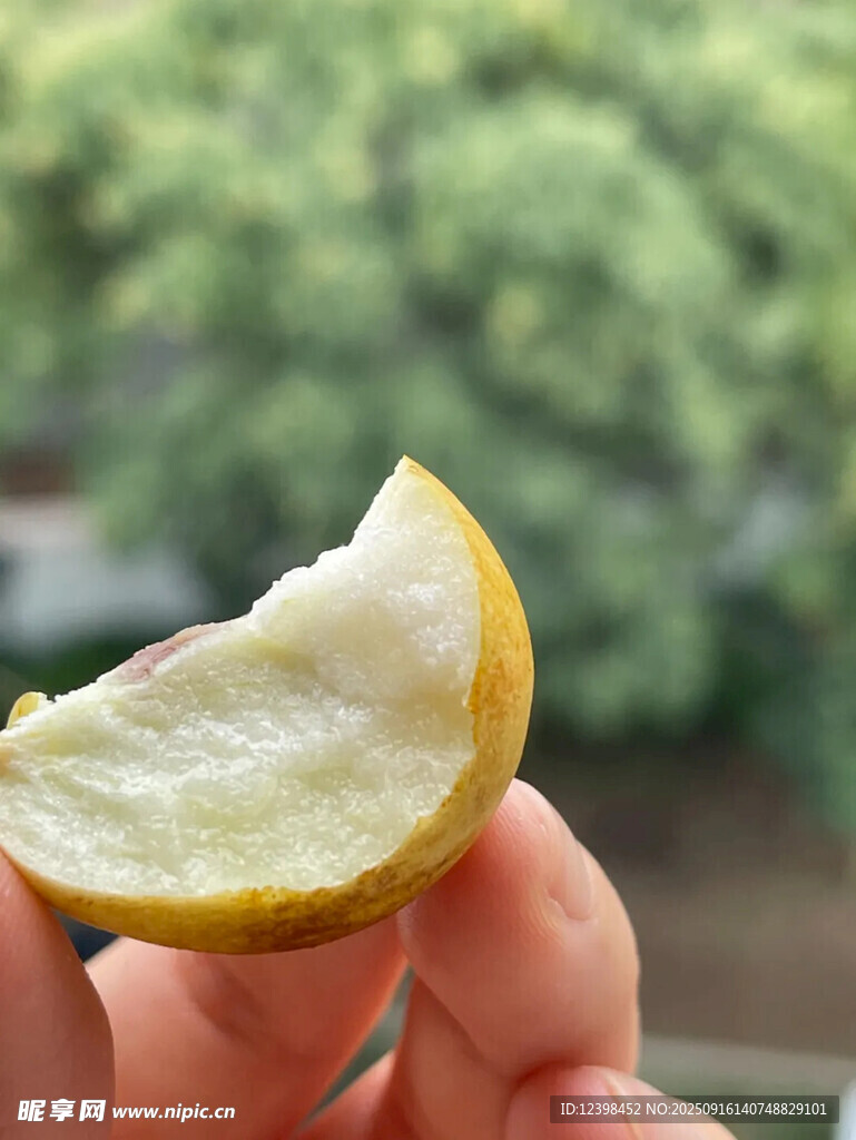 大枣
